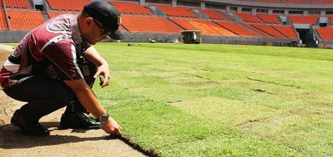 JIS Contek Rahasia Singapura Siapkan Kebun Rumput Demi Persija