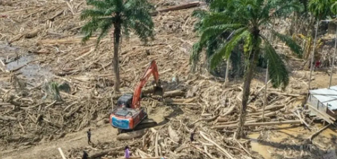 Kapolri: Tersangka Pembalakan Liar Hutan Sumatera Utara Sudah Ditetapkan