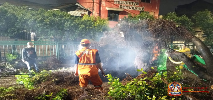 Polsek Palmerah Evakuasi Pohon Tumbang di KS Tubun